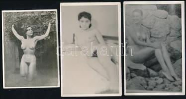 10 db erotikus fotó, 9,5×6,5 cm és 14×9 cm közötti méretekben