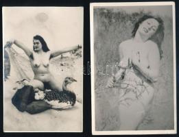 10 db erotikus fotó, 9,5×6,5 cm és 14×9 cm közötti méretekben