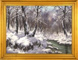 Neogrády jelzéssel: Téli táj. Olaj, vászon, fa keretben, 50x70 cm