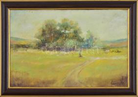 Neogrády jelzéssel: Rét. Olaj, karton, keretben, 25x37 cm