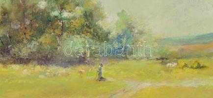 Neogrády jelzéssel: Rét. Olaj, karton, keretben, 25x37 cm