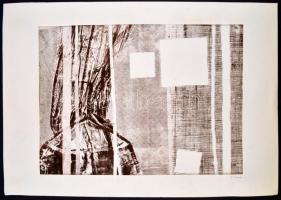 Ország jelzéssel: Absztrakt kompozíció. Nyomat, papír, paszpartuban, 32,5x44,5 cm