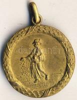 1930. "Nemzetközi Vetőmag Kongresszus-Budapest" aranyozott emlékérem T:2
