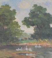 Szentpály Zoltán (?-?): Vízpart libákkal (1930 körül). Olaj, falemez, jelzett, üvegezett sérült, rég...