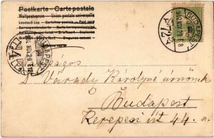 1902 Romantic couple. Art Nouveau, floral, litho frame s: E. Döcker jun. (fl)