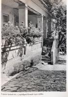 Beszélő tájak. Szerk.: Hatvany Lajos. Gink Károly fényképeivel. Bp., 1963., Magvető. Fekete-fehér ké...