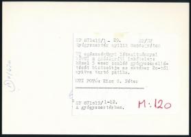 cca 1992 Megnyílt a Gazdagréti gyógyszertár. Sajtófotó. 12,5x17,5 cm