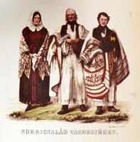 Magyarföld és népei eredeti képekben. Föld- és népismei, statistikai és történeti folyóirat. Fényes ...