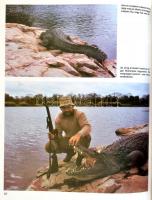 Magyar Ferenc: Vadászat kudu-földön. Afrikai vadásznapok. Bp., 1989, Béta. Kiadói artonált papírköté...