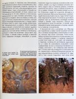 Magyar Ferenc: Vadászat kudu-földön. Afrikai vadásznapok. Bp., 1989, Béta. Kiadói artonált papírköté...