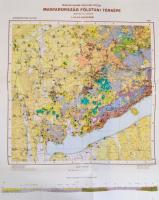1968 Veszprém megye földtani és gazdaságföldtani térképe, 2 db, 1:200 000, kiadja: Magyar Állami Föl...