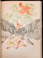 Pancsatantra, azaz ötös könyv. Az életbölcsességnek régi indiai tankönyve az emberek és állatok vilá...