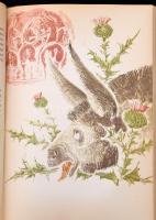 Pancsatantra, azaz ötös könyv. Az életbölcsességnek régi indiai tankönyve az emberek és állatok vilá...