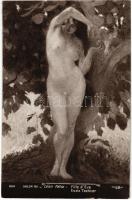Evas Tochter / Fille dEve / Erotic nude lady art postcard. Salon 1911. J.K. 964. s: Léon Félix