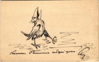 1915 Kézzel rajzolt trópusi madár / hand-drawn tropical bird art postcard (EB)