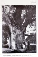 Gregory K. W. - Raven C. H.: Gorillák nyomában. Ford.: Szent-Ivány József. Bp., 1940, Kir. M. Termés...