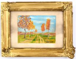 Spányi jelzéssel: Út mentén. Olaj, papír, kasírozva, üvegezett, sérült fa keretben, 10x14 cm