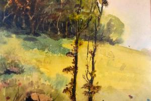 Turmayer jelzéssel: Őszi táj. Akvarell, papír, üvegezett keretben, 31x23,5 cm