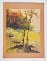 Turmayer jelzéssel: Őszi táj. Akvarell, papír, üvegezett keretben, 31x23,5 cm