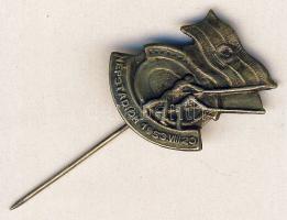 1953. "Népstadion" kitűző T:2