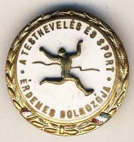 DN "A testnevelés és sport érdemes dolgozója" zománcozott kitűző T:2