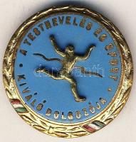 DN "A testnevelés és sport kiváló dolgozója" zománcozott kitűző T:2