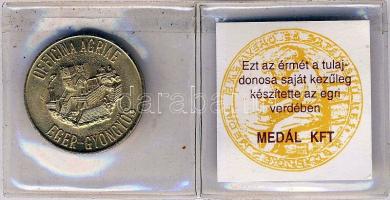 DN "Egri vár gótikus palota" aranyozott emlékérem, tanúsítvánnyal T:2