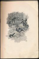 Bársony István: Magyar természeti és vadászati képek. Neográdi Antal képeivel. Bp.,[1926.], Athenaeu...