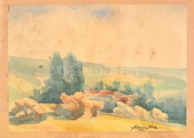 Olvashatatlan jelzéssel (... János 1941): Zöldellő táj. Akvarell, papír, kartonra kasírozva. Üvegezett, kopott fa keretben, 20,5x29 cm