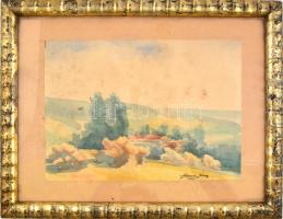 Olvashatatlan jelzéssel (... János 1941): Zöldellő táj. Akvarell, papír, kartonra kasírozva. Üvegeze...