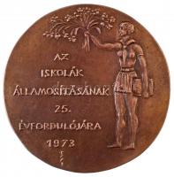 1973. Az iskolák államosításának 25. évfordulójára 1973. Br plakett. Szign.: SZI(?) (110mm) T:2- ph.