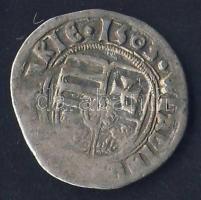 1503. Denár Ag II.Ulászló, az első évszámmal vert magyar ezüstpénz! T:3