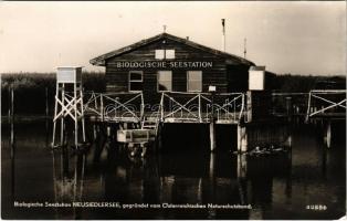 Nezsider, Neusiedl am See; Biologisches Seestation Neusiedlersee, gegründet vom Österreichischen Naturschutzbund / Fertő tó, az Osztrák Természetvédelmi Egyesület által alapított Biológiai Állomás. P. Ledermann kiadása / biological station founded by the Austrian Nature Conservation Association