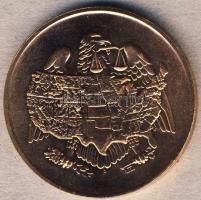 USA 1969. "Kincstár" Br emlékérem T:BU