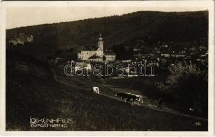 1931 Léka, Lockenhaus; látkép, templom, vár, legelésző tehenek / general view, church, castle, grazing cows. Foto-Technik A. Stefsky