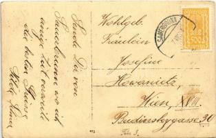 1924 Savanyúkút, Sauerbrunn;  szanatórium és vízgyógyintézet / sanatorium, spa, bath, hydropathic in...