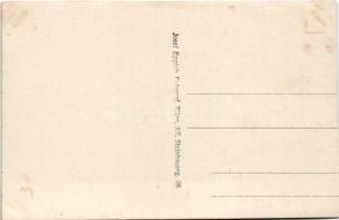 Borostyánkő, Bernstein; Schloss / vár / castle. Josef Eppich photo