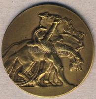Ausztria 1927. "Vívó szakosztály-Bécs" Br emlékérem T:2
