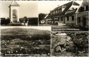 Lapincsújtelek, Neustift an der Lafnitz; Gasthof, Bäckerei u. Pension Schmidt / látkép, Schmidt féle vendéglő, pékség és szálloda, őzek. Alfons Bayer felvétele és kiadása / general view, hotel, restaurant and bakery, deer