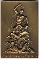 Ausztria 1937. "Bécsi Regatta Egyesület" szögletes Br plakett T:2