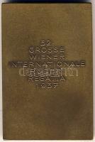 Ausztria 1937. "Bécsi Regatta Egyesület" szögletes Br plakett T:2