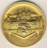 Franciaország 1937. "Vívó VB-Párizs" dekoratív, nagyalakú, aranyozott Br plakett T:2