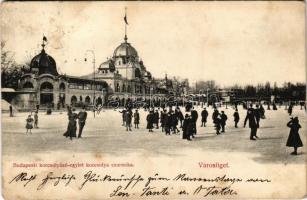 1909 Budapest XIV. Városliget, Budapesti Korcsolyázó Egylet korcsolyacsarnoka, jégkorcsolyázás, téli sport. Divald Károly kiadása (EB)