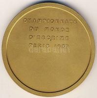 Franciaország 1937. "Vívó VB-Párizs" dekoratív, nagyalakú, aranyozott Br plakett T:2