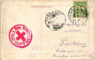 1916 Vinga, vízimalom / watermill. W.L. Bp. 207. + "Magyar Vöröskereszt Egylet Vingai Fiókja&qu...
