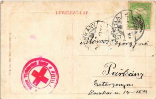 1916 Vinga, pályaudvar, vasútállomás / railway station. W.L. Bp. 199. + "Magyar Vöröskereszt Eg...
