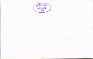 Koca a malacaival, magyar mezőgazdasági propaganda. Képzőművészeti Alap Kiadóvállalat / Hungarian ag...