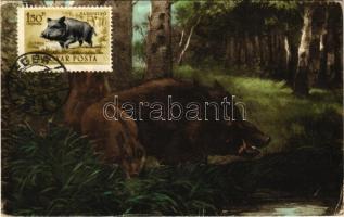 Boar in the forest. Amag No. 0498. (EK)