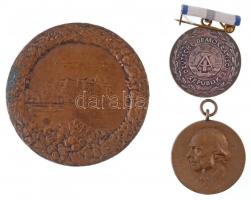 1935. "IX. Nemzetközi Bőrgyógyászati Kongresszus - Budapest MCMXXXV" Br emlékérem (60mm) +...
