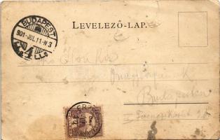 1901 Arad, Neuman Testvérek szeszgyára. Kerpel Izsó kiadása / distillery (b)